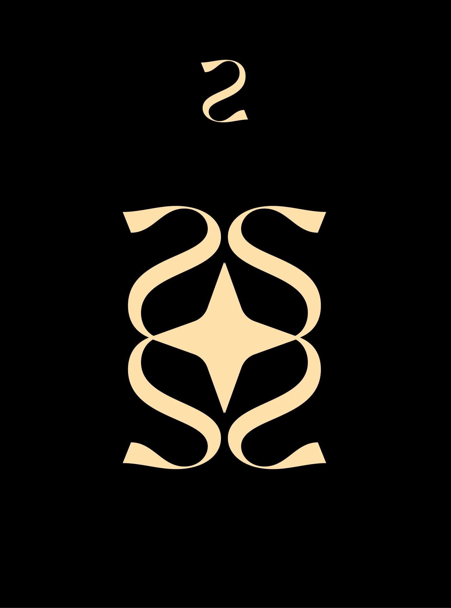 Sparkle — Brand identity artwork 3